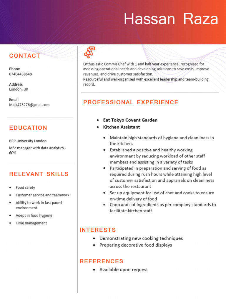 Hassan CV 2 | PDF