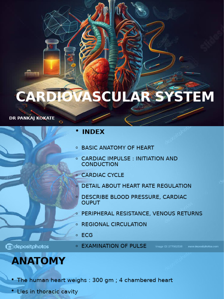 Heart Anatomy and Cardiac Cycle Overview | PDF | Heart Valve ...