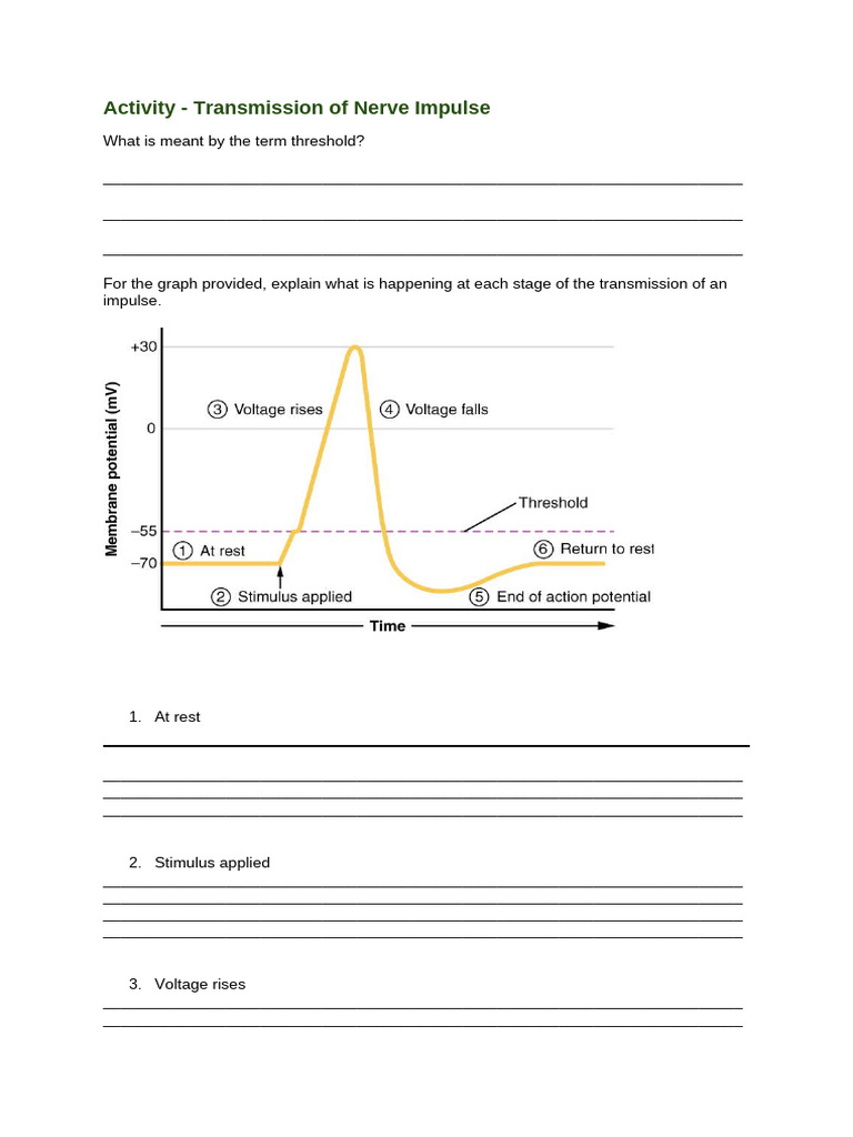 Nerve Impulse Transmission Steps | PDF | Action Potential | Chess Theory