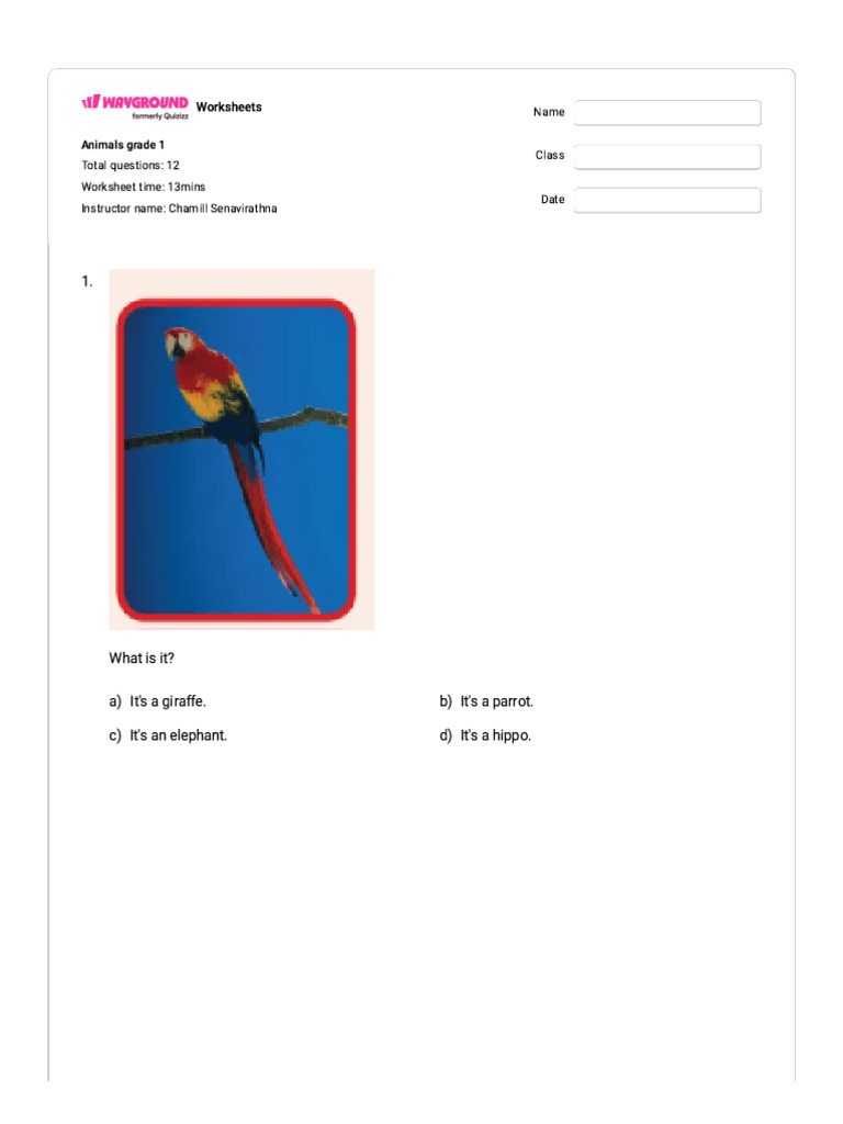 Grade 1 Animal Worksheets with Answers | PDF