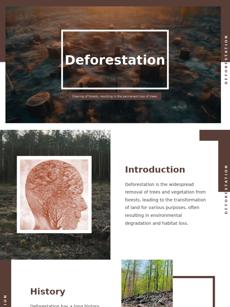 Deforestation: Causes and Impacts | PDF | Deforestation | Climate ...
