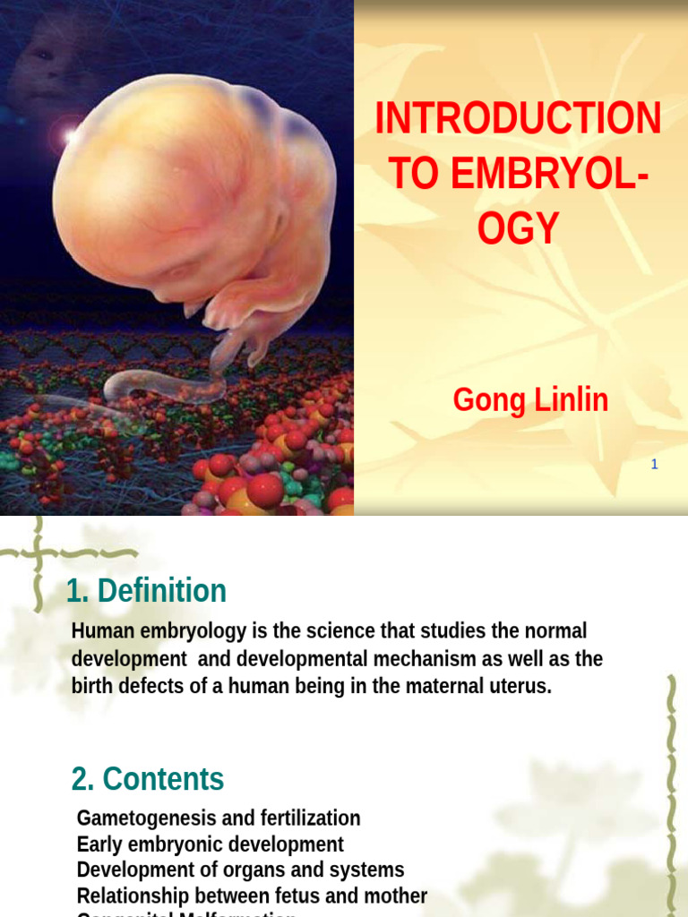 Human Embryology: Development Overview | PDF | Developmental Biology ...