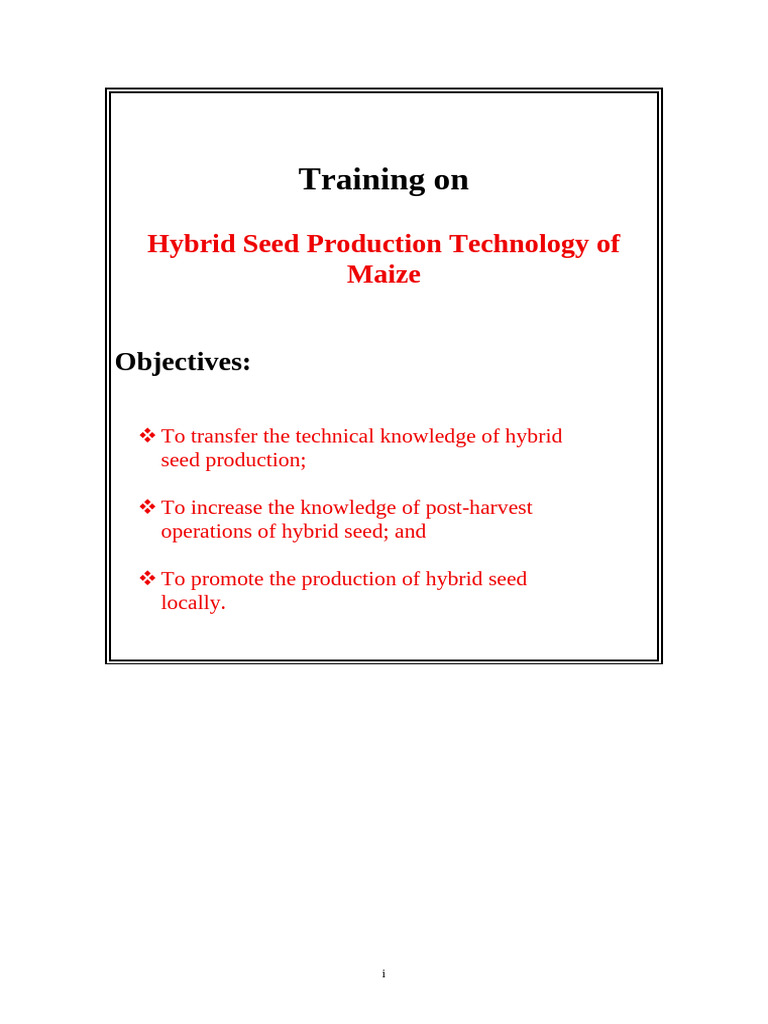 Maize Hybrid Seed Production Training | PDF | Maize | Seed