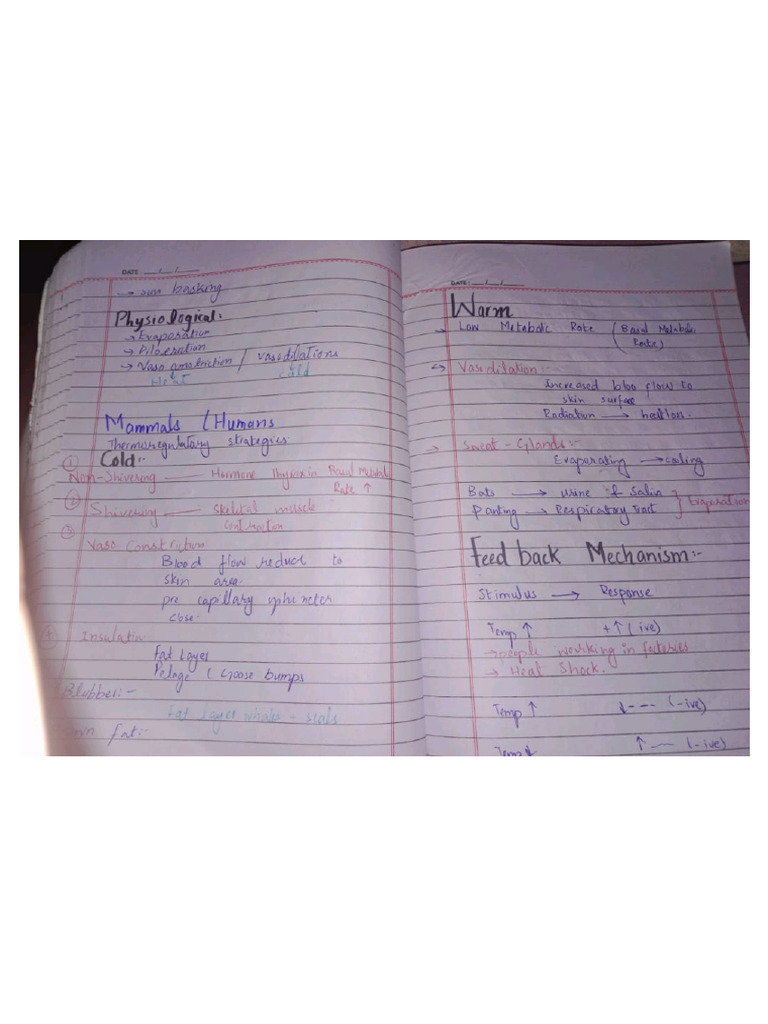 Homeostasis Notes | PDF