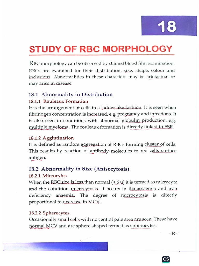 Study of RBC Morphology | PDF