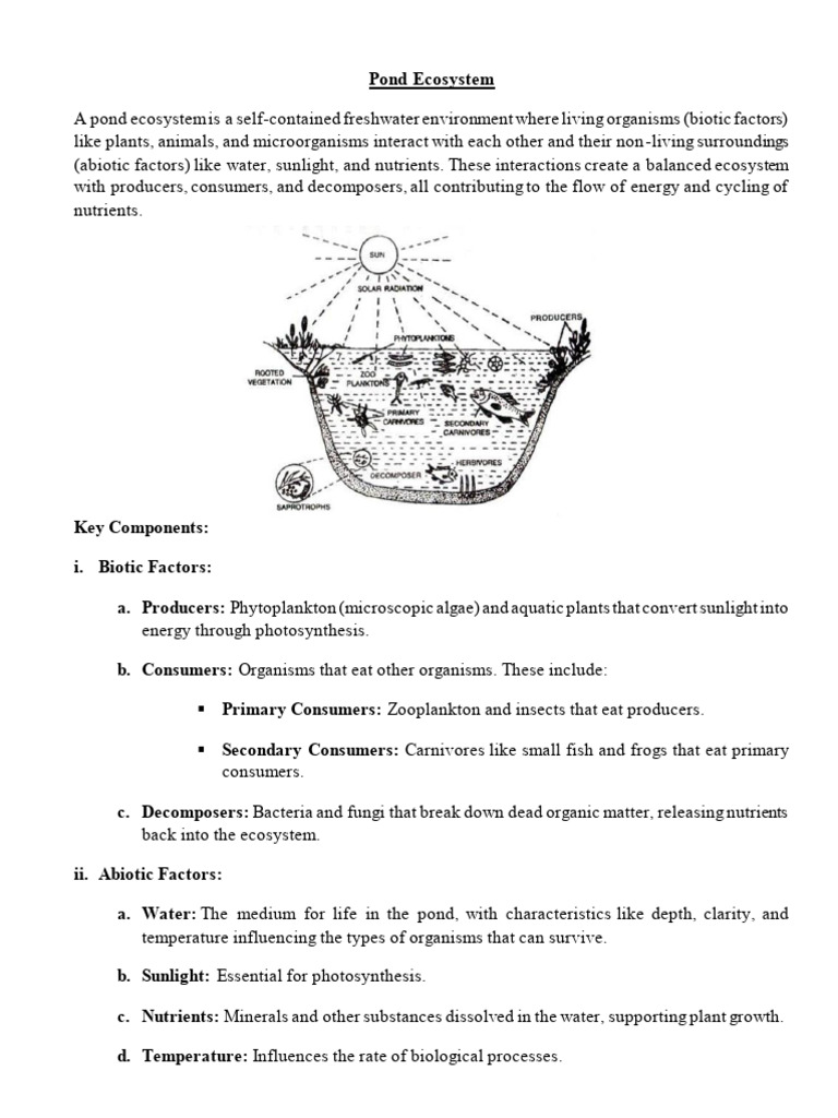 Pond Forest Ecosystem | PDF | Ecosystem | Aquatic Ecosystem