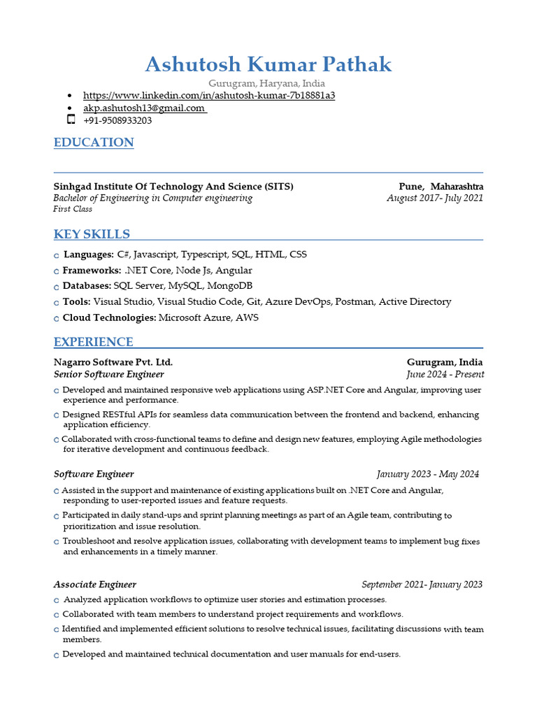 Senior Software Engineer Profile | PDF | Computer Programming ...