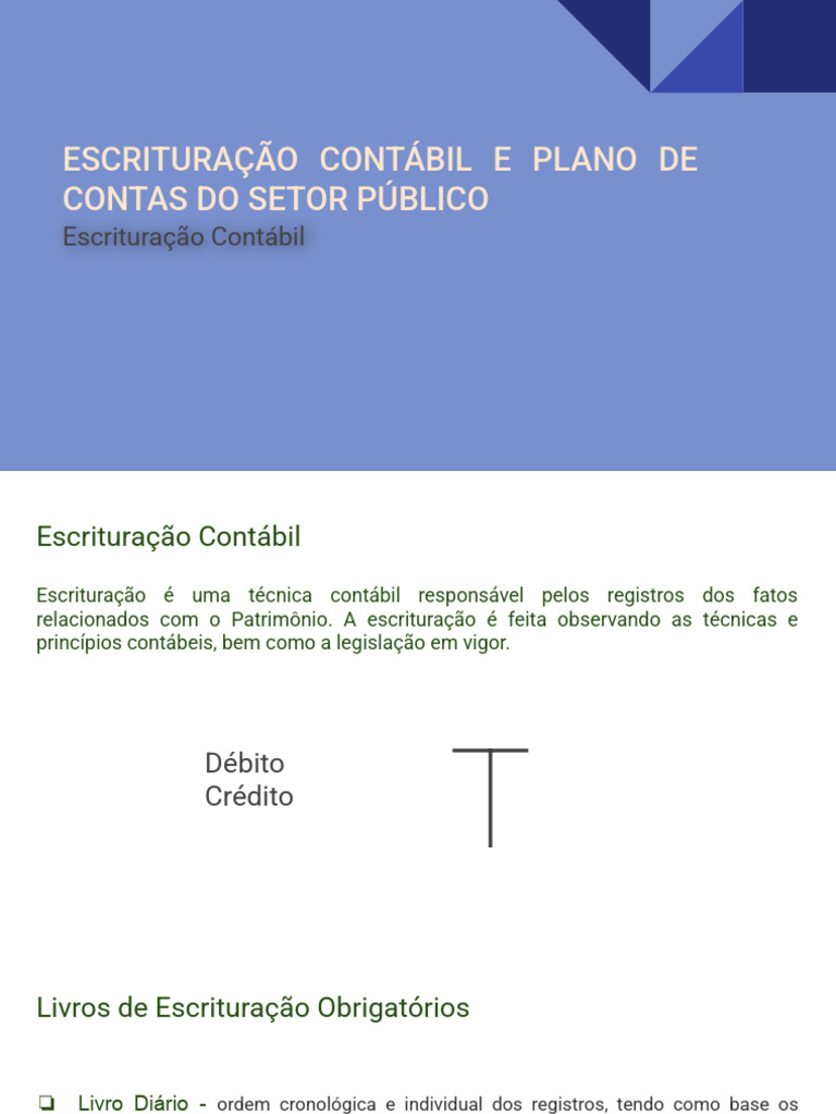 Escrituração Contábil no Setor Público | PDF | Contabilidade ...