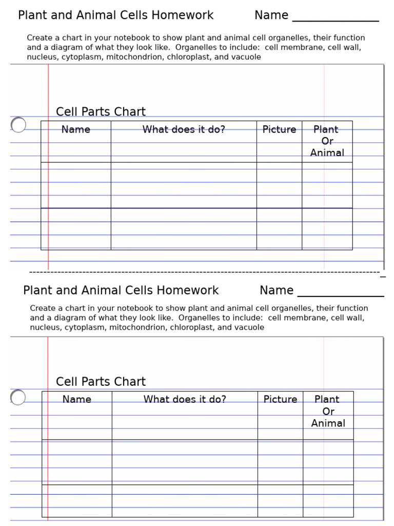 Plant and Animal Cell Organelles Chart | PDF
