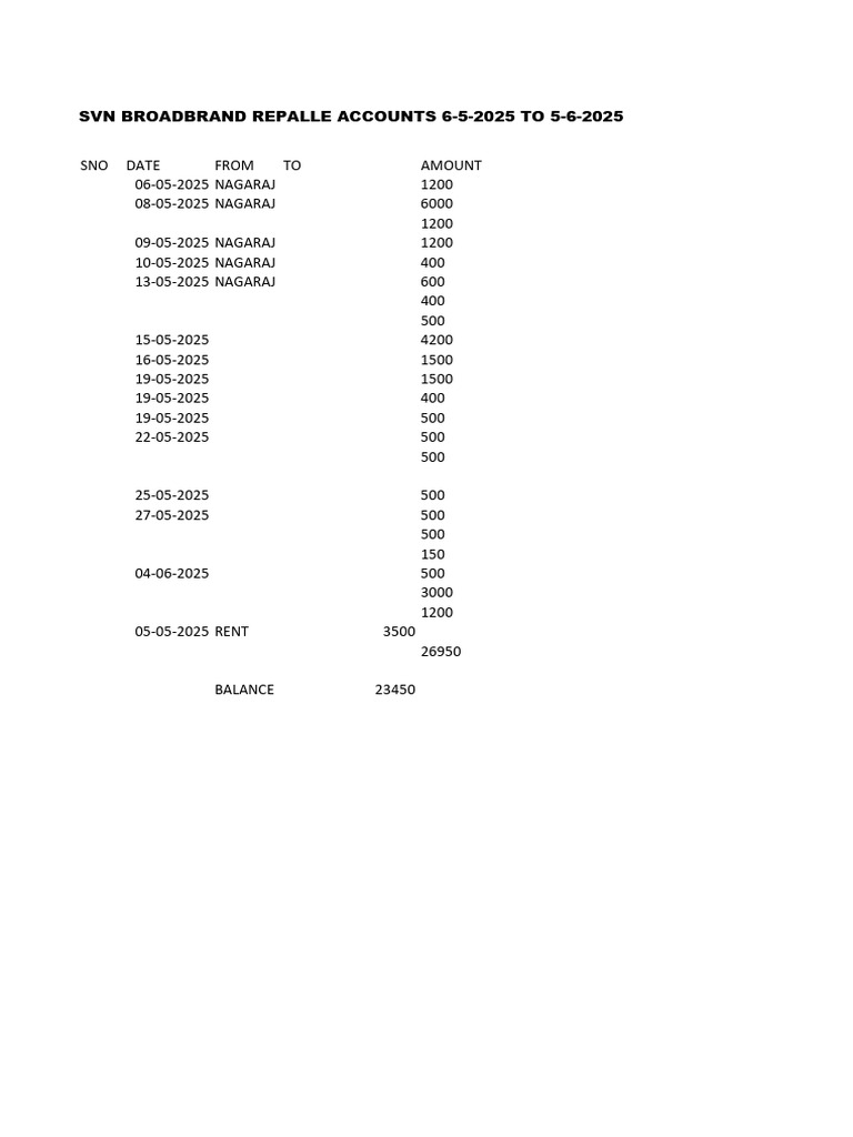 SVN Broadbrand Repalle Accounts Summary | PDF