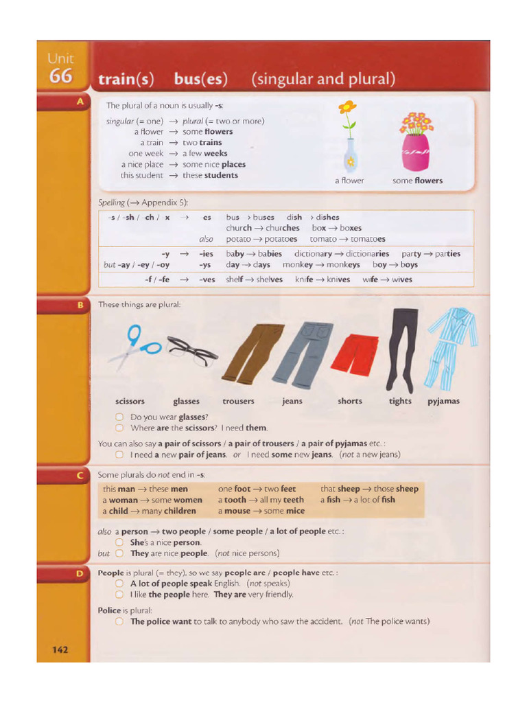 Noun Plurals and Countability Guide | PDF | Plural | Linguistic Morphology