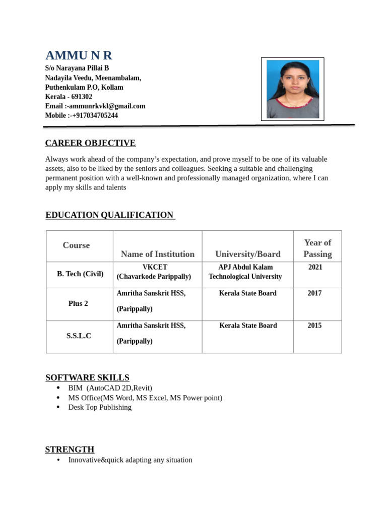 Civil Engineer Resume of Ammu N R | PDF