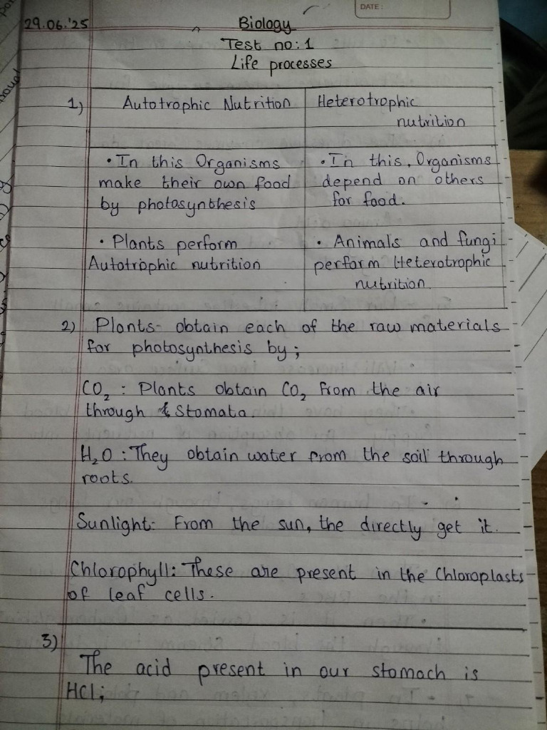 Life Processes Notes | PDF