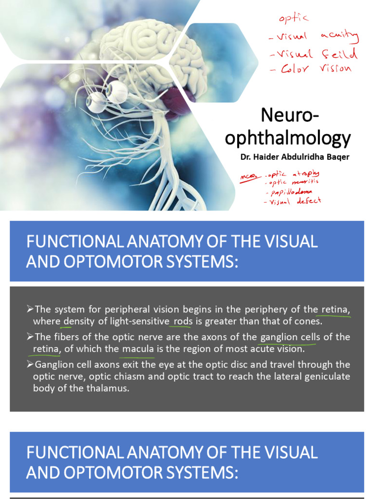 Neuro-Ophthalmology: Visual Pathways & Disorders | PDF | Visual System ...