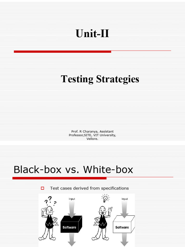 3.1 White Box Testing | PDF | Computing | Software Development