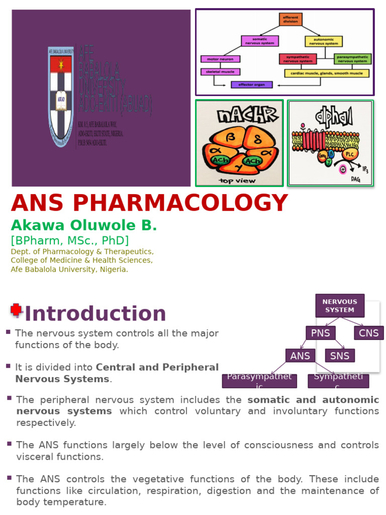 Autonomic Nervous System Pharmacology | PDF | Acetylcholine | Nervous ...