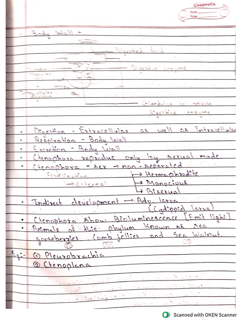 Allen Notes | PDF