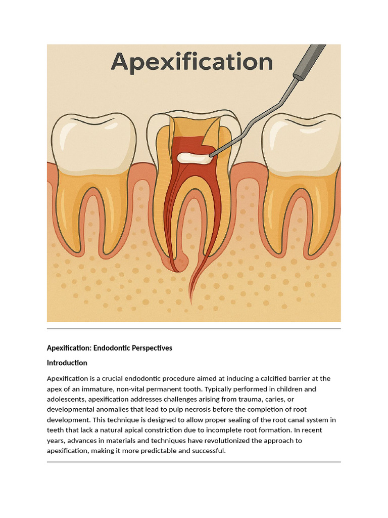 Fix The Apical Closure of Roots of Teeth | PDF | Dentistry Branches ...