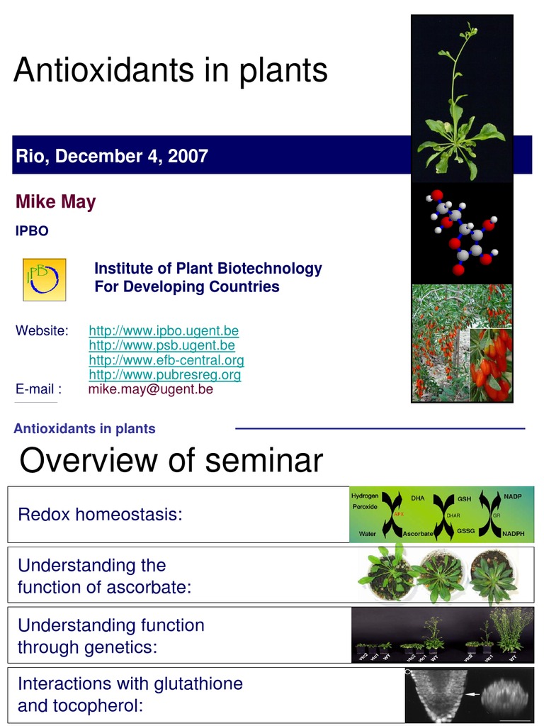 Antioxidants in Plants | PDF