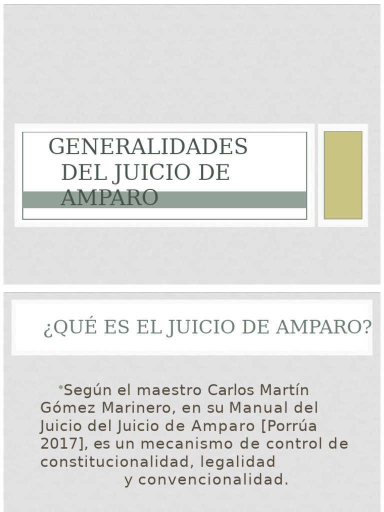 Guía Completa del Juicio de Amparo | PDF | Caso de ley | Ley Pública