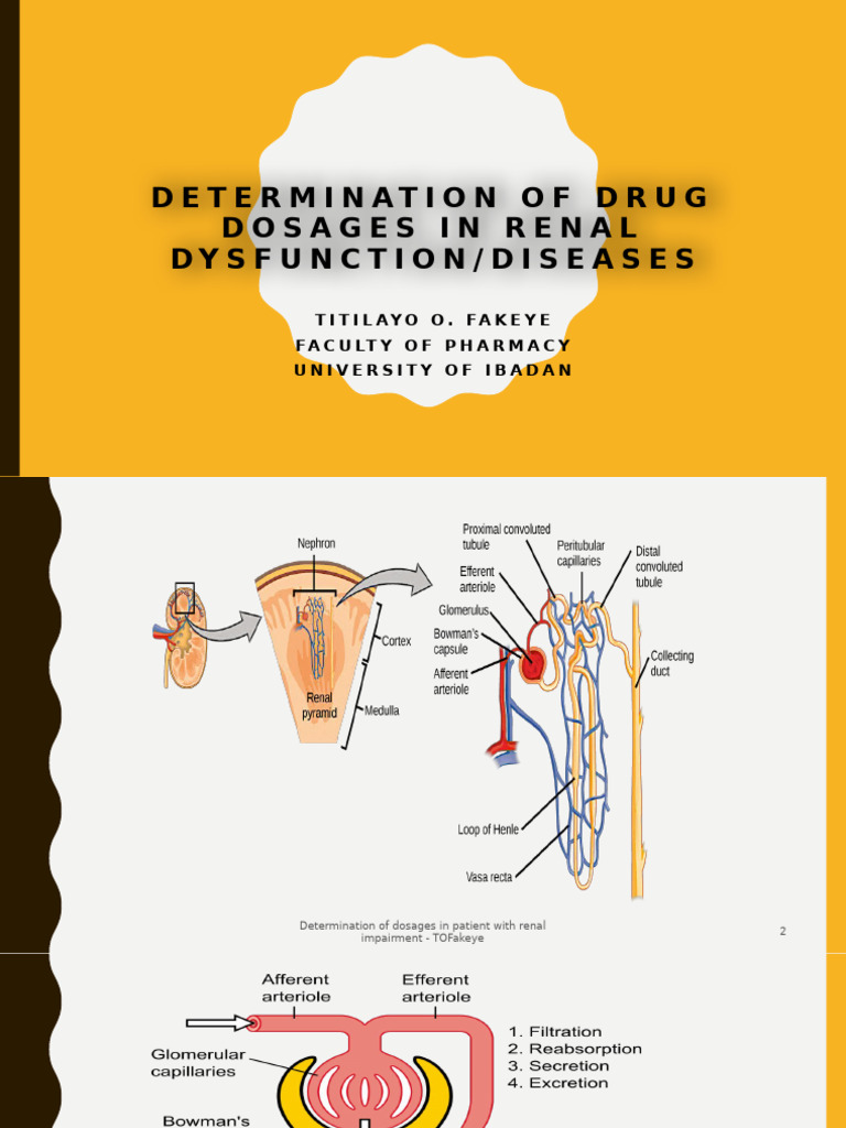 PK of Drugs in Renal Impairment 2025 | PDF | Creatinine | Kidney