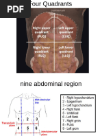 Abdomen AP Supine (Kub), Pa New Steve | PDF | Abdomen | Small Intestine