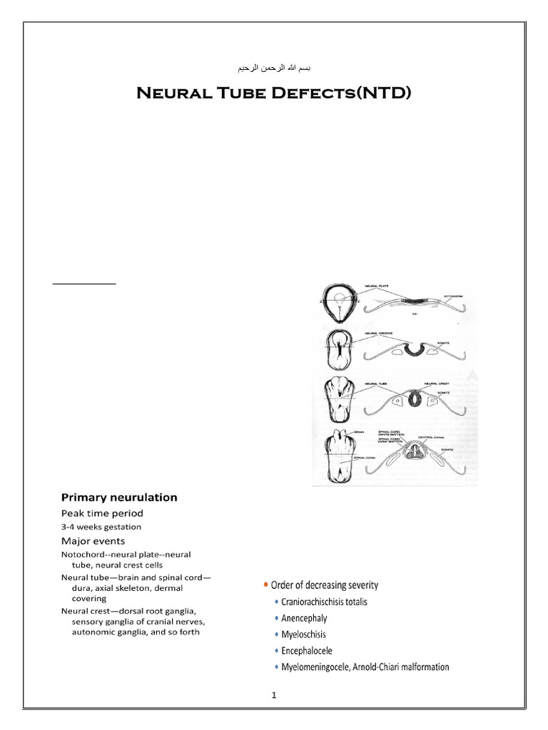 Meningocele: Understanding Neural Tube Defects | PDF | Medical ...