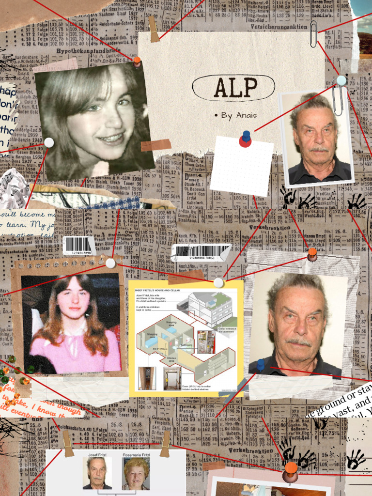 Fritzl Criminal Case PDF