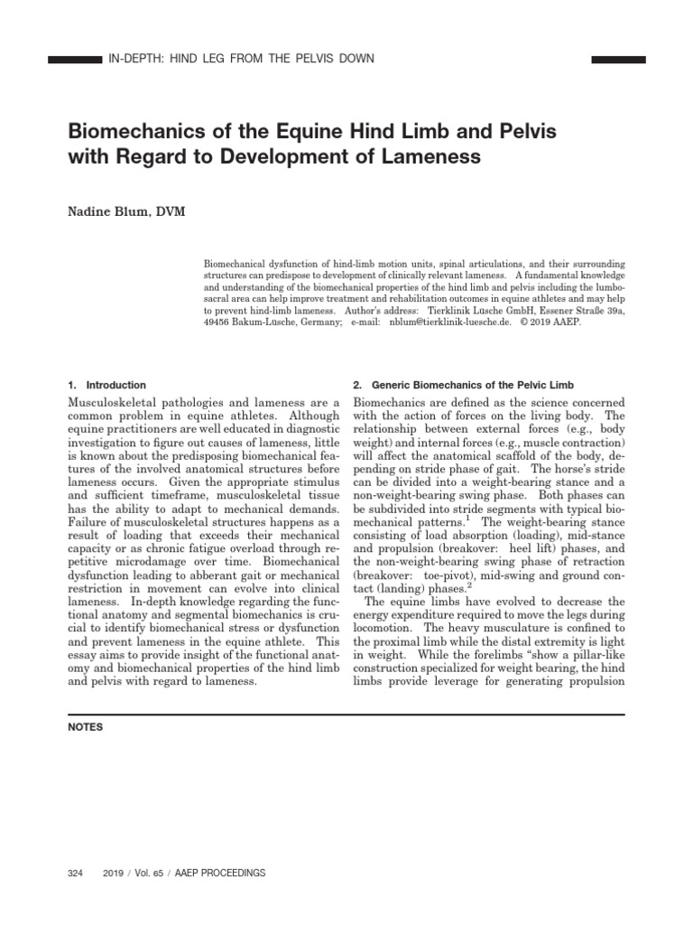 Equine Hind Limb Biomechanics and Lameness | PDF | Pelvis | Vertebra