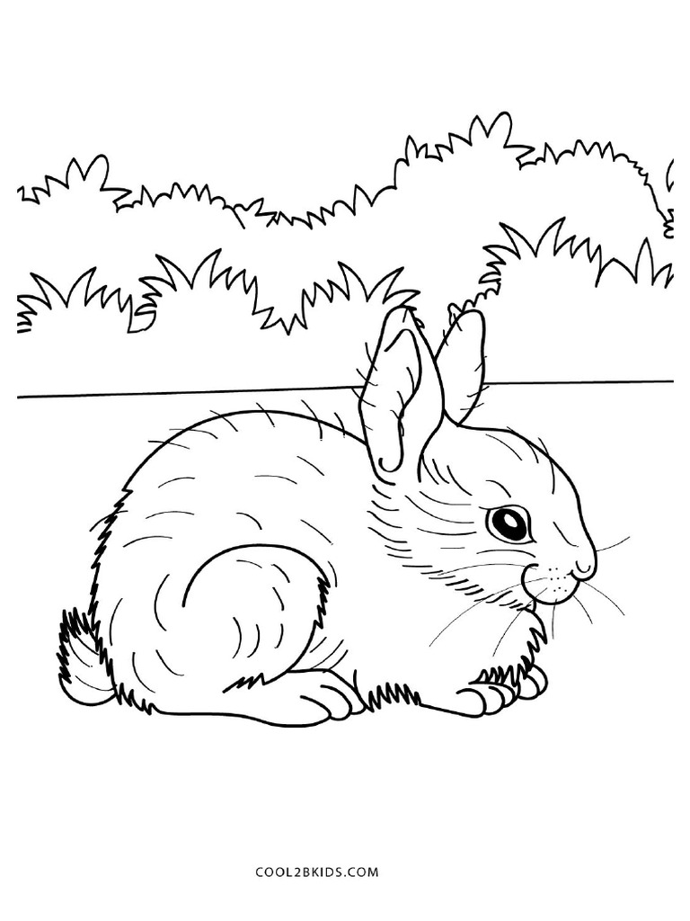 Bunny Coloring Pages | PDF