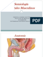 Semiología de Genitales Masculinos