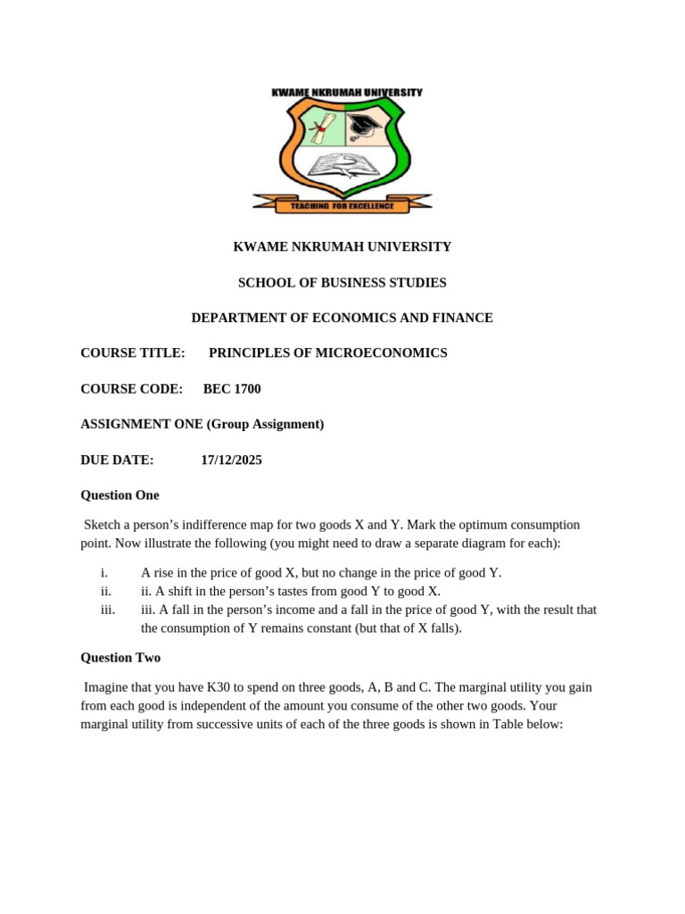 Microeconomics Assignment: Utility Maximization | PDF