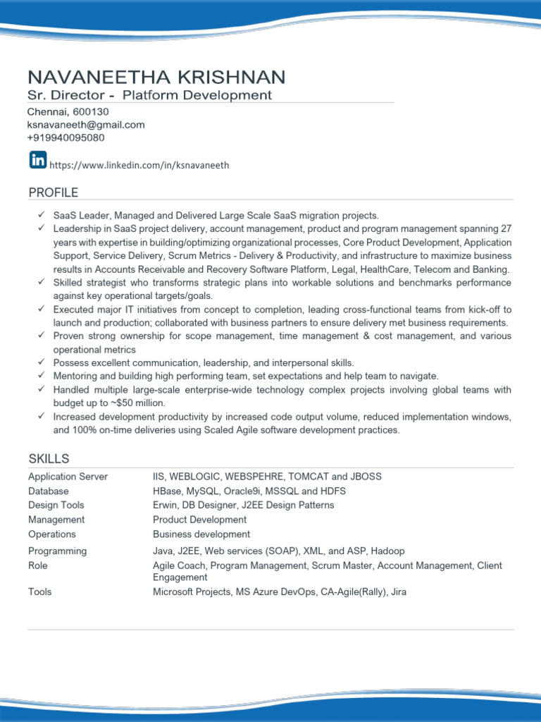 SaaS Project Management Expert Profile | PDF | Agile Software ...