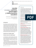 17.039 Patología Vascular Medular Isquémica, Hemorrágica y Malformaciones Vasculares