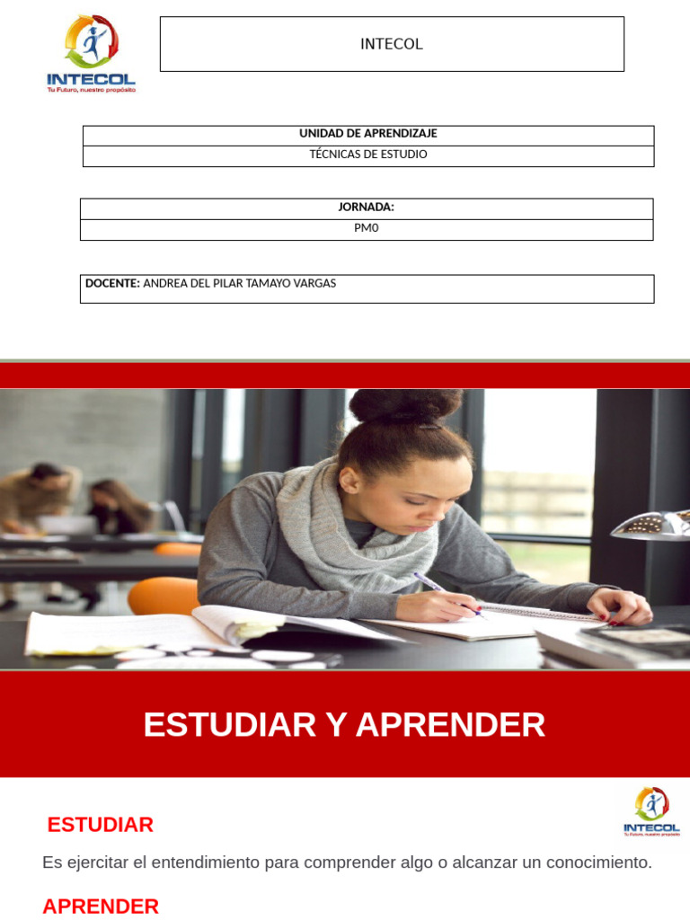 Intecol: Unidad de Aprendizaje | PDF | Comunicación | Memoria