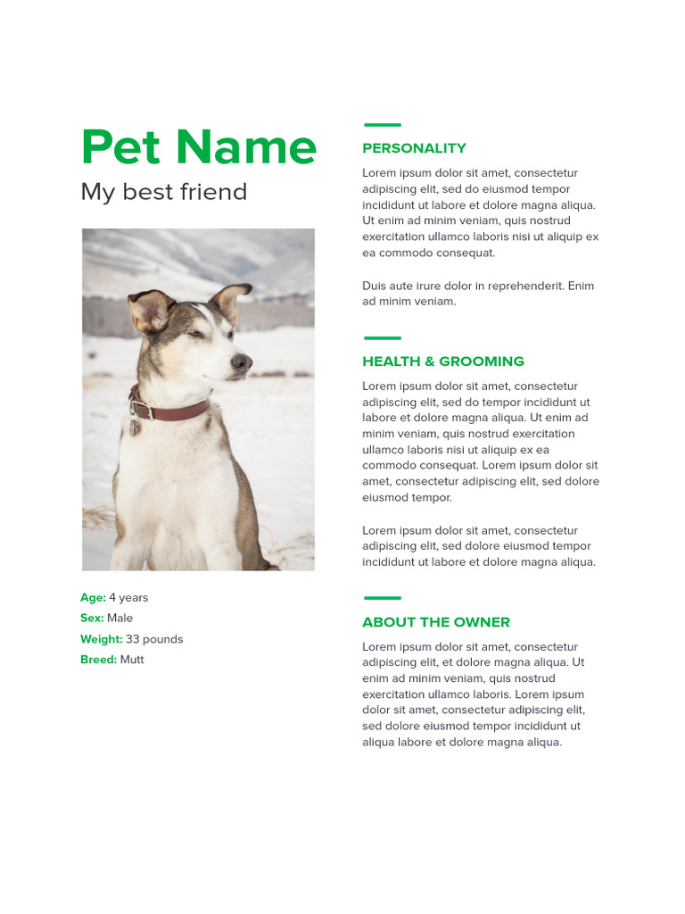 Pet Resume PDF | PDF