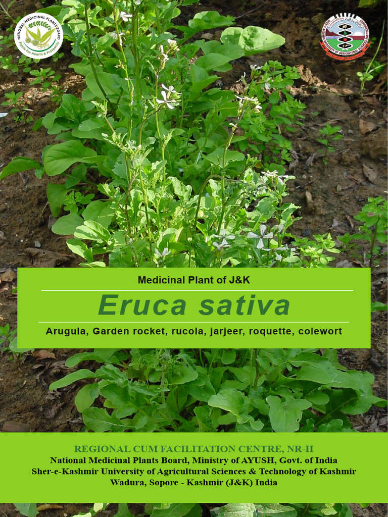 Nutritional Benefits of Arugula in J&K | PDF | Food Ingredients | Vegan ...