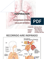 Respiración Pulmonar