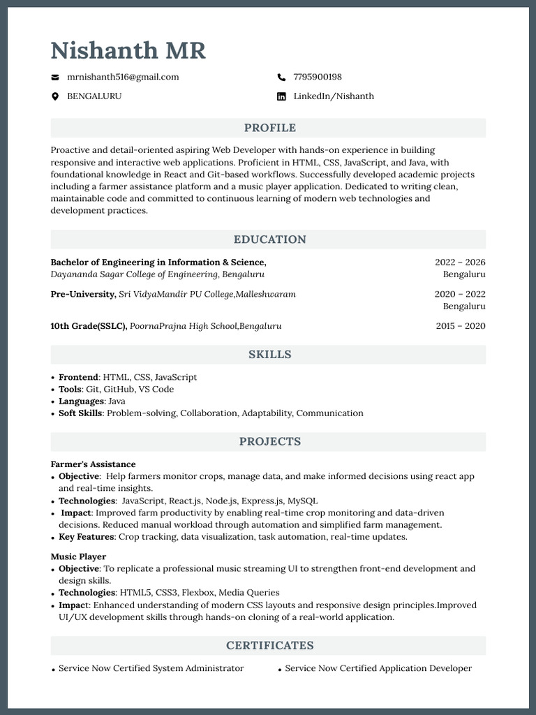 Aspiring Web Developer Profile Summary | PDF | Java Script | Computing