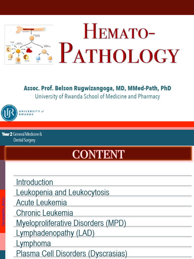Overview of Hematopathology Disorders | PDF | White Blood Cell | Lymphocyte