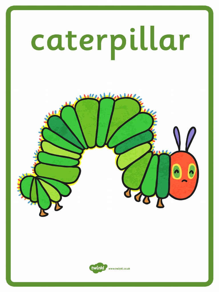 T T 1230 The Very Hungry Caterpillar Display Posters | PDF