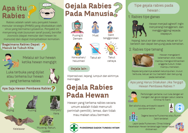 Gejala Rabies pada Manusia dan Hewan | PDF