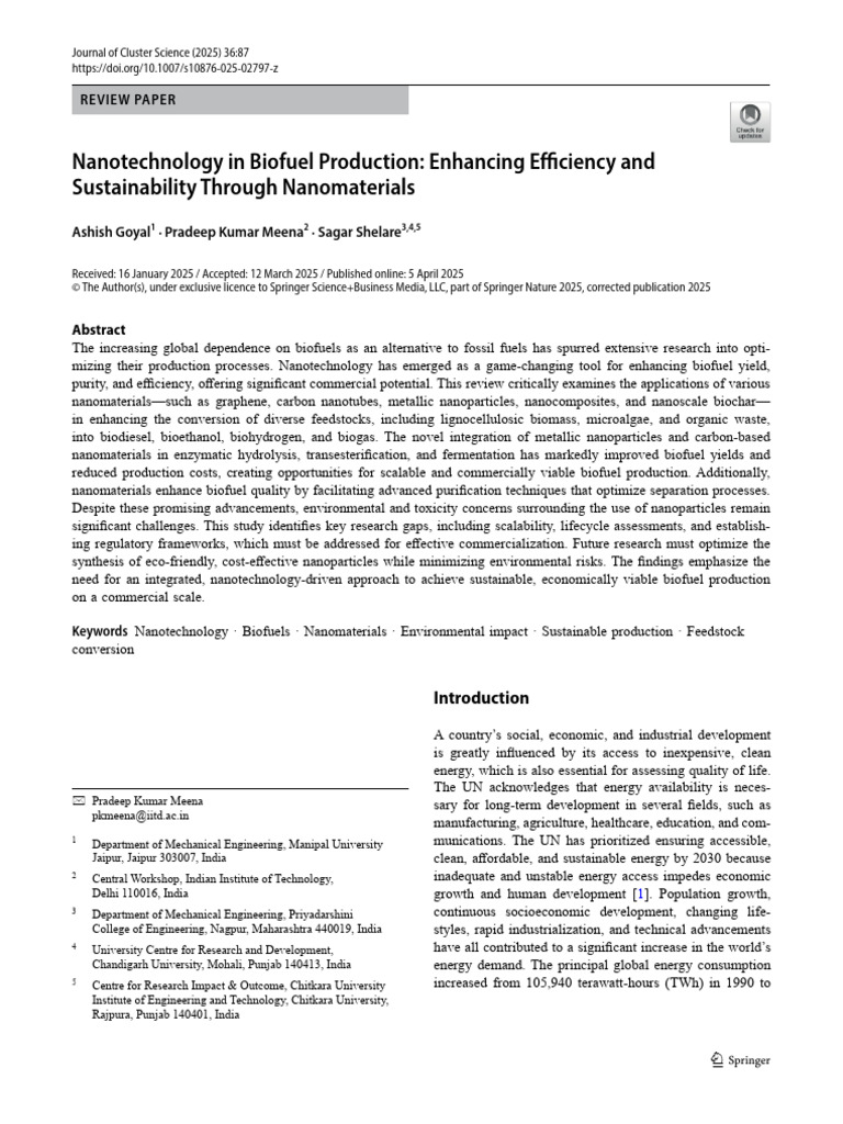 Nanotechnology in Biofuel Production: Enhancing Efficiency and ...