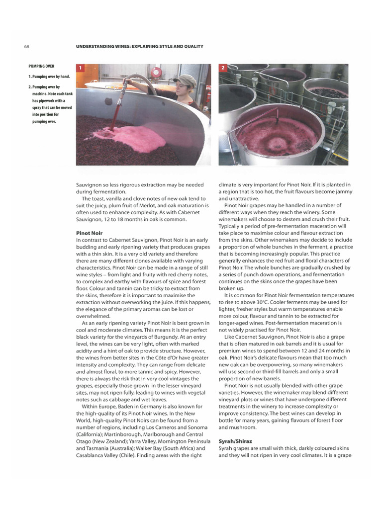 1 Understanding Wines Explaining Style And Quality By Wine Spirit Pdf