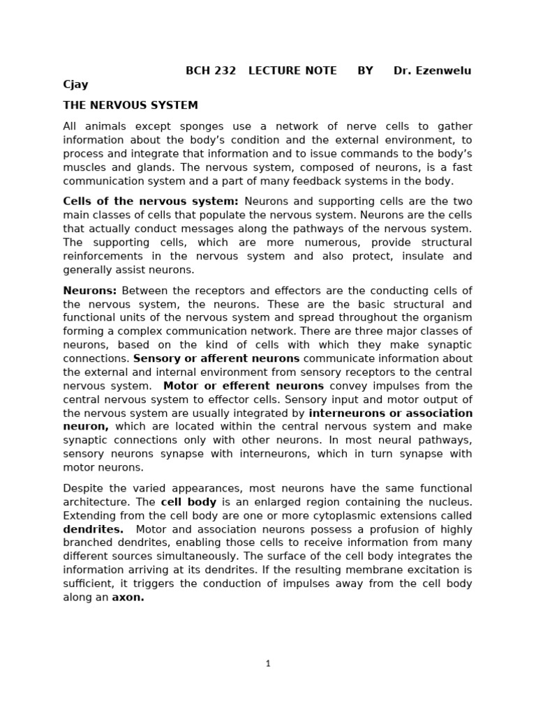 Caring for Your Nervous System | PDF | Chemical Synapse | Inhibitory ...