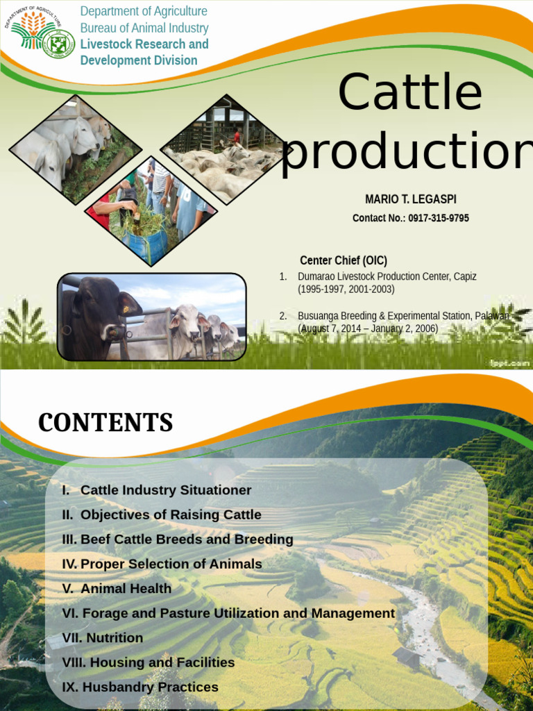 Cattle Production and Management Presentation 2016 April 11 2018 | PDF ...
