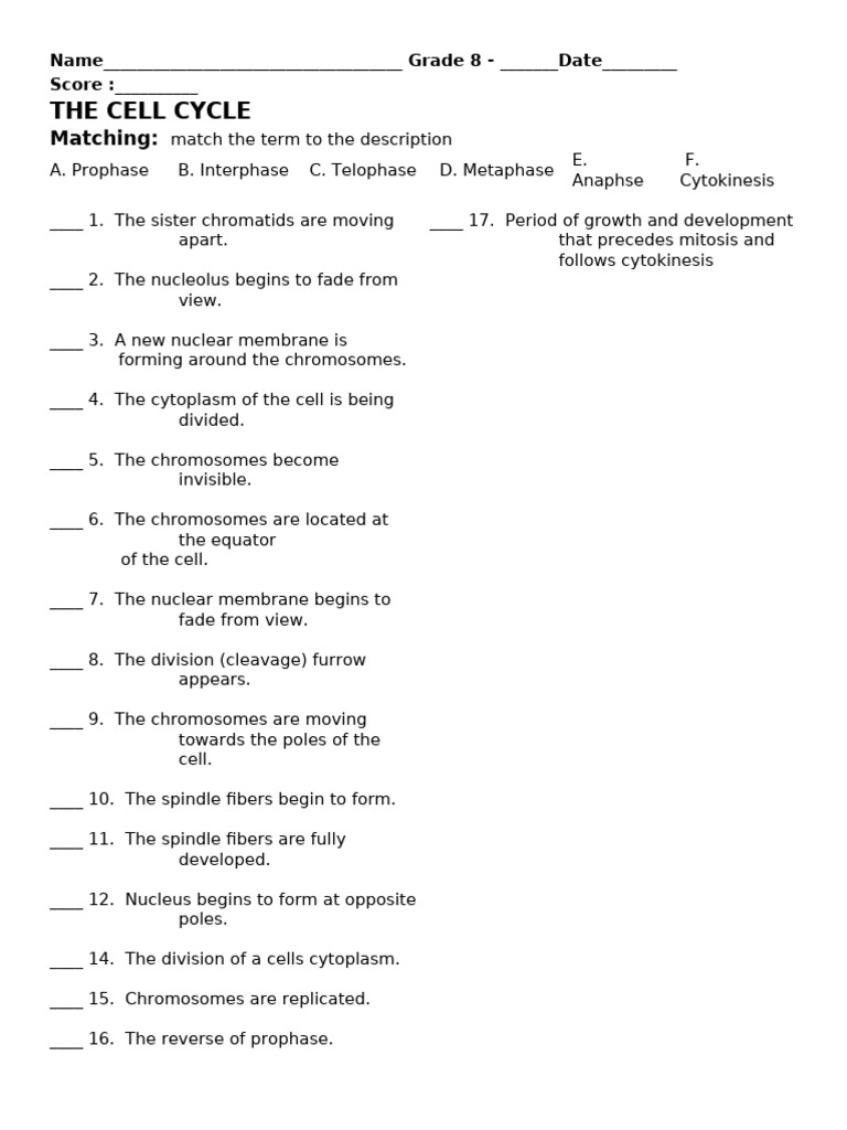 Understanding the Cell Cycle Phases | PDF | Mitosis | Genetics