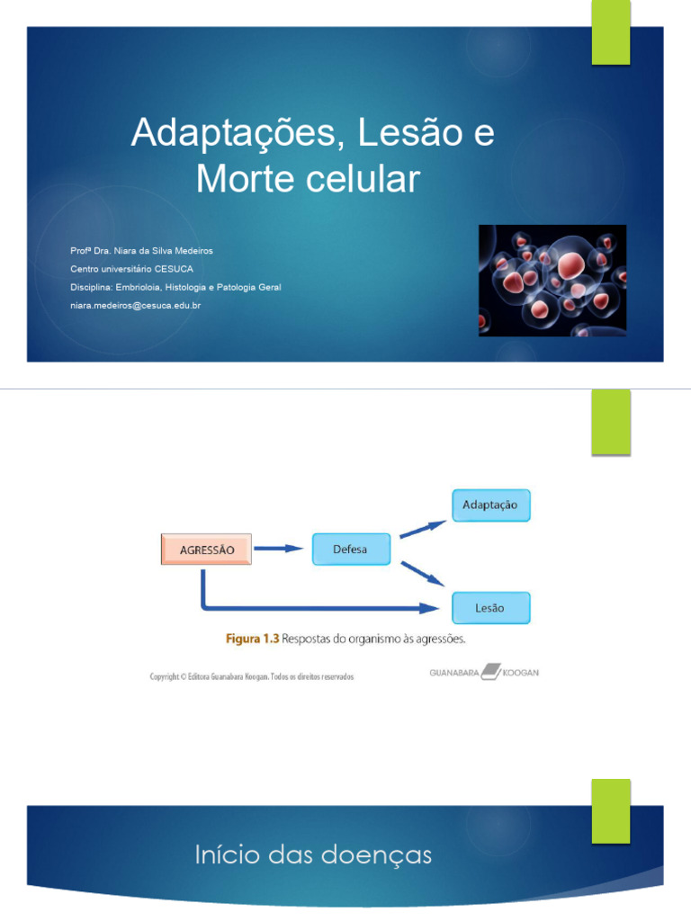 Aula 3 - Lesão e Adaptação Celular | PDF | Apoptose | Necrose