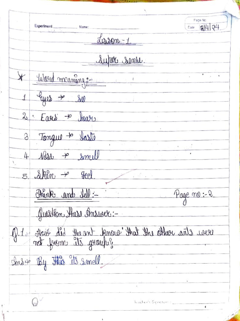 Class 5 CH 1 PDF | PDF