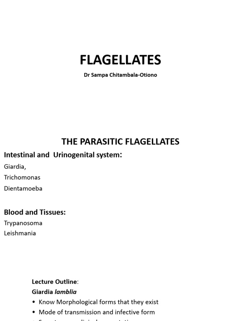 Parasitic Flagellates Overview | PDF | Diseases And Disorders | Medical ...